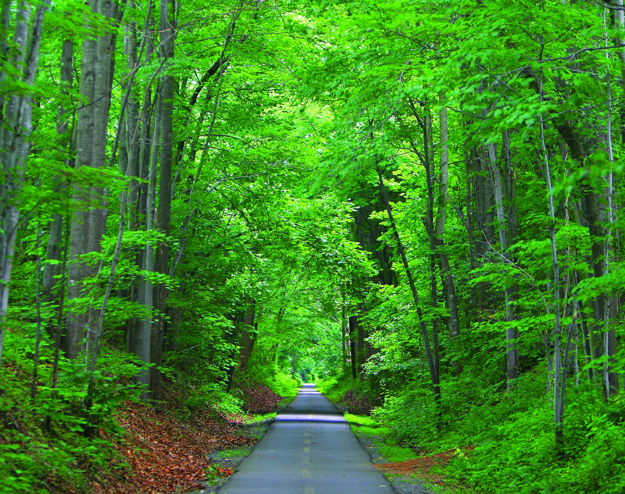 W&OD Trail